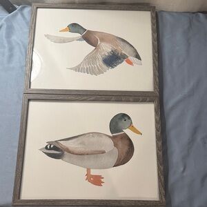 Framed Mallard Duck Watercolor Prints - Set of 2
